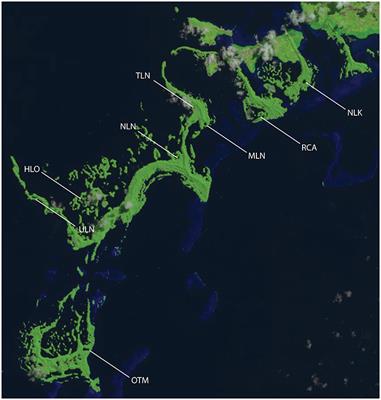 Primary Production, Community Respiration, and Net Community Production along Oxygen and Nutrient Gradients: Environmental Controls and Biogeochemical Feedbacks within and across “Marine Lakes”